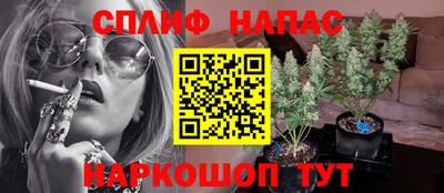 бошки Будённовск